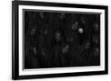 Gramercy Black
