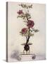 Stretched Canvas