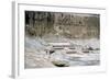 Mortuary Temple of Queen Hatshepsut, Dayr Al-Bahri, Egypt, C1457 Bc-null-Framed Photographic Print