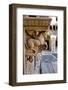 Morvi Temple (The Secretariat) an Administrative Building with a Hindu Temple in the Centre-Henry Wilson-Framed Photographic Print