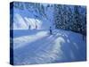 Morzine, Ski Run-Andrew Macara-Stretched Canvas