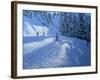 Morzine, Ski Run-Andrew Macara-Framed Giclee Print