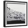 Mosaic 4-Hilary Winfield-Framed Giclee Print