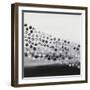 Mosaic 4-Hilary Winfield-Framed Giclee Print