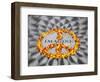 Mosaic Commemorting John Lennon, Strawberry Fields, Central Park, Manhattan, New York City, USA-Jon Arnold-Framed Photographic Print