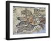 Mosaic, Currently in the Museum, Taken from the Greek and Roman Site of Cyrene, Libya-Ethel Davies-Framed Photographic Print