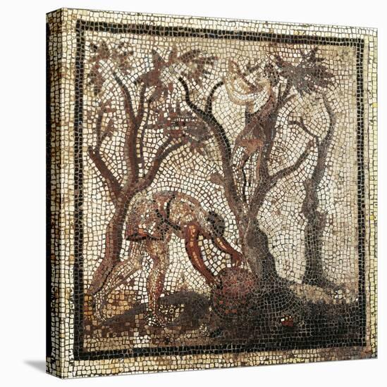 Mosaic Depicting Agricultural Works: Olive Picking from Saint-Romain-En-Gal, France-null-Stretched Canvas