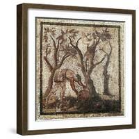 Mosaic Depicting Agricultural Works: Olive Picking from Saint-Romain-En-Gal, France-null-Framed Giclee Print