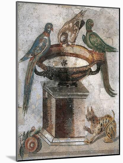 Mosaic Depicting Birds on Basin and Panther from Italy-null-Mounted Giclee Print