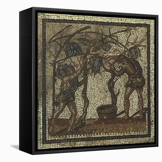 Mosaic Depicting Grape Harvest, from Saint Roman En Gal, 3rd Century-null-Framed Stretched Canvas