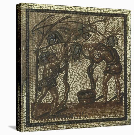 Mosaic Depicting Grape Harvest, from Saint Roman En Gal, 3rd Century-null-Stretched Canvas
