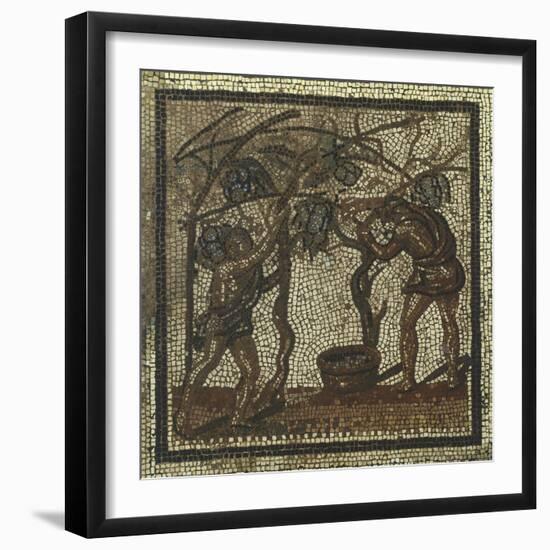 Mosaic Depicting Grape Harvest, from Saint Roman En Gal, 3rd Century-null-Framed Giclee Print