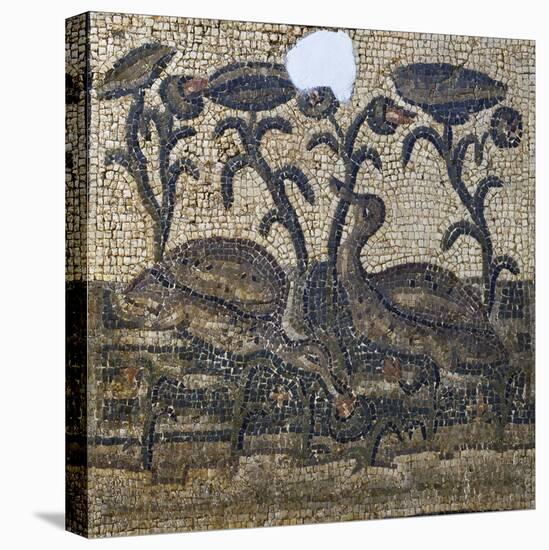 Mosaic Depicting Two Ducks Amongst Water Lilies, Uncovered in Daphne, Antioch, Turkey, 5th Century-null-Stretched Canvas