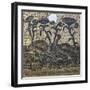 Mosaic Depicting Two Ducks Amongst Water Lilies, Uncovered in Daphne, Antioch, Turkey, 5th Century-null-Framed Giclee Print