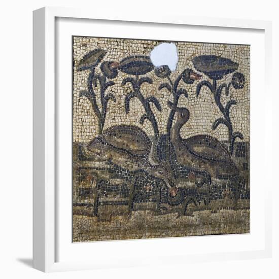 Mosaic Depicting Two Ducks Amongst Water Lilies, Uncovered in Daphne, Antioch, Turkey, 5th Century-null-Framed Giclee Print