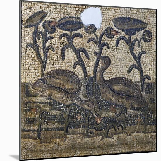 Mosaic Depicting Two Ducks Amongst Water Lilies, Uncovered in Daphne, Antioch, Turkey, 5th Century-null-Mounted Giclee Print