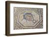 Mosaic Detail from the House of Dionysus-Doug Pearson-Framed Photographic Print