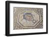 Mosaic Detail from the House of Dionysus-Doug Pearson-Framed Photographic Print