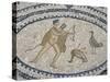 Mosaic Floor of Hunting Scene, Roman Archaeological Site of Volubilis, North Africa-R H Productions-Stretched Canvas