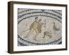 Mosaic Floor of Hunting Scene, Roman Archaeological Site of Volubilis, North Africa-R H Productions-Framed Photographic Print