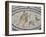 Mosaic Floor of Hunting Scene, Roman Archaeological Site of Volubilis, North Africa-R H Productions-Framed Photographic Print