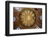 Mosaic in the Dome of the Arian Baptistery, 6th Century-null-Framed Photographic Print