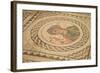 Mosaic, Kourion, Cyprus, Europe-Neil Farrin-Framed Photographic Print