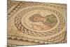 Mosaic, Kourion, Cyprus, Europe-Neil Farrin-Mounted Photographic Print