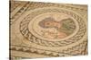 Mosaic, Kourion, Cyprus, Europe-Neil Farrin-Stretched Canvas