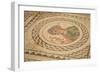 Mosaic, Kourion, Cyprus, Europe-Neil Farrin-Framed Photographic Print