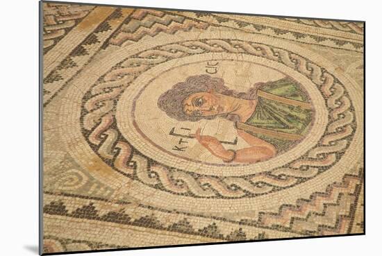 Mosaic, Kourion, Cyprus, Europe-Neil Farrin-Mounted Photographic Print