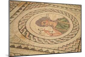 Mosaic, Kourion, Cyprus, Europe-Neil Farrin-Mounted Photographic Print