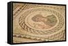 Mosaic, Kourion, Cyprus, Europe-Neil Farrin-Framed Stretched Canvas