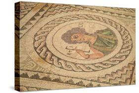 Mosaic, Kourion, Cyprus, Europe-Neil Farrin-Stretched Canvas