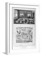 Mosaic Makers, 1751-1777-null-Framed Giclee Print