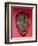 Mosaic Mask, from Palenque, Chiapas-Mayan-Framed Giclee Print