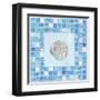 Mosaic Moonshell-Paul Brent-Framed Art Print