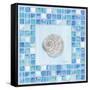 Mosaic Moonshell-Paul Brent-Framed Stretched Canvas