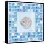 Mosaic Moonshell-Paul Brent-Framed Stretched Canvas