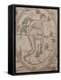 Mosaic, Nicopolis Roman City, Epiros, Greece, Europe-Rolf Richardson-Framed Stretched Canvas