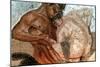 Mosaic of a Satyr and Nymph, House of Faun, Pompeii, Italy-null-Mounted Premium Giclee Print