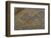 Mosaic of Dolphin from Temple to Athena, Soloi, North Cyprus, Cyprus, Europe-Neil Farrin-Framed Photographic Print