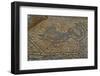Mosaic of Dolphin from Temple to Athena, Soloi, North Cyprus, Cyprus, Europe-Neil Farrin-Framed Photographic Print