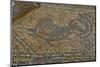 Mosaic of Dolphin from Temple to Athena, Soloi, North Cyprus, Cyprus, Europe-Neil Farrin-Mounted Photographic Print