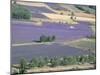 Mosaic of Fields of Lavander Flowers Ready for Harvest, Sault, Provence, France, June 2004-Inaki Relanzon-Mounted Photographic Print