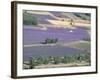 Mosaic of Fields of Lavander Flowers Ready for Harvest, Sault, Provence, France, June 2004-Inaki Relanzon-Framed Photographic Print