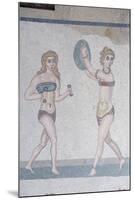 Mosaic of Girls in Bikinis-Bruno Morandi-Mounted Photographic Print