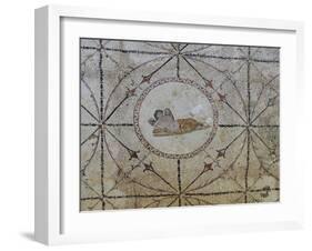 Mosaic of Hypnos, Greek God of Dreams, Risan, Kotor Bay, UNESCO World Heritage Site, Montenegro-Rolf Richardson-Framed Photographic Print