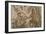 Mosaic of Polifemo and Galatea, Alacazar de los Reyes Cristianos, Cordoba, Andalucia, Spain, Europe-Richard Maschmeyer-Framed Photographic Print