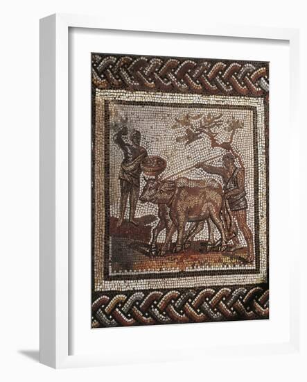 Mosaic of Rustic Calander Divided into 32 Squares, Depicting Plowing, from Saint-Romain-En-Gal-null-Framed Giclee Print